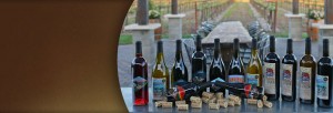 Ripken Wine bottles arranged on a counter with corks. 9 assorted bottles.