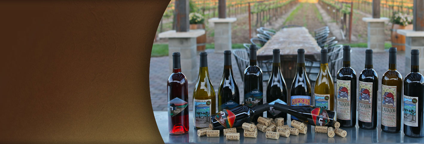 Ripken Wine bottles arranged on a counter with corks. 9 assorted bottles.